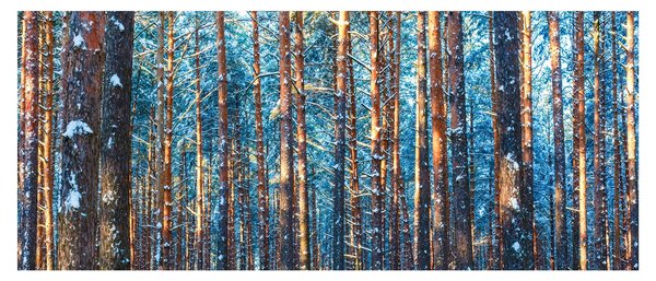 Slika - Zimski gozd (120x50 cm)