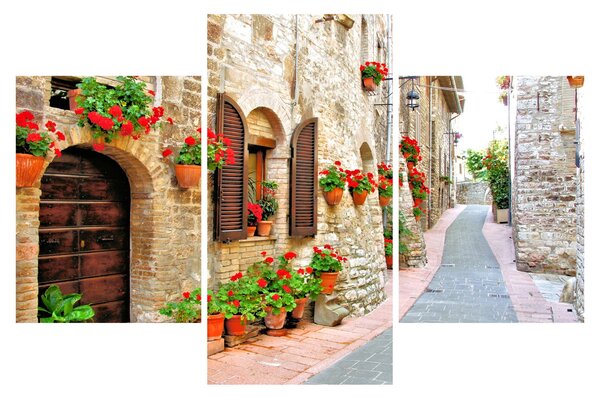 Slika - Slikovita italijanska uličica (90x60 cm)