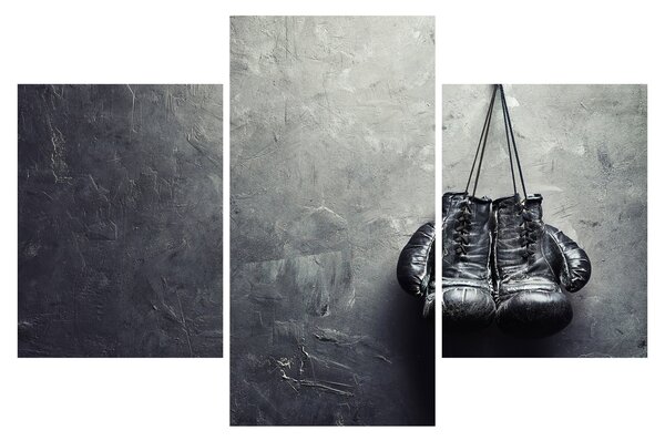 Slika boksarskih rokavic (90x60 cm)