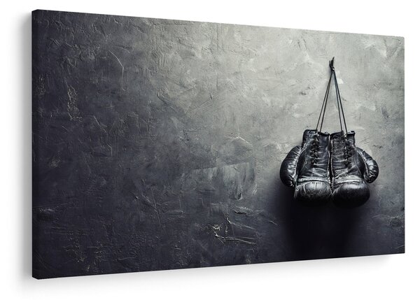 Slika boksarskih rokavic (90x60 cm)