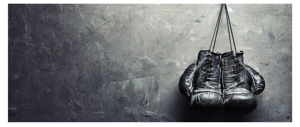Slika boksarskih rokavic (120x50 cm)