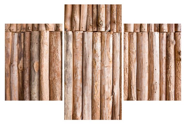 Slika - Bambus (90x60 cm)