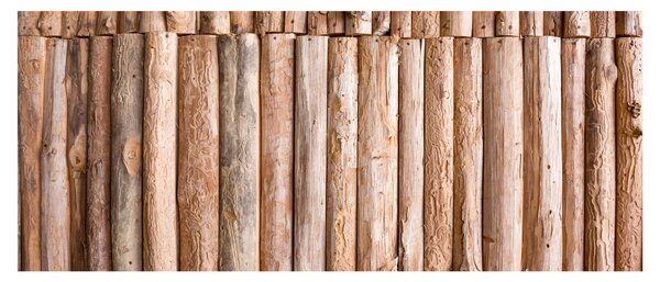 Slika - Bambus (120x50 cm)