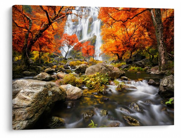 Slika - Slapovi v oranžnem gozdu (70x50 cm)