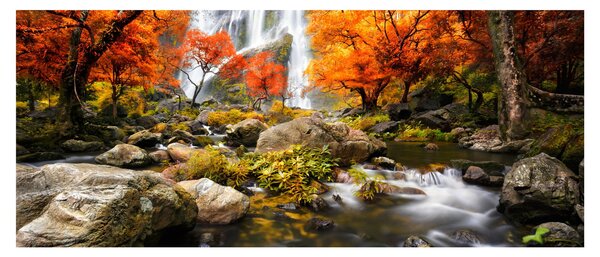 Slika - Slapovi v oranžnem gozdu (120x50 cm)