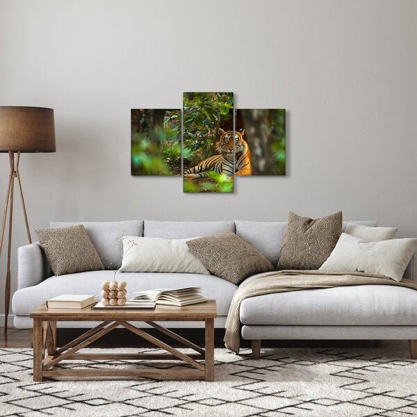 Slika počivajočega tigra (90x60 cm)