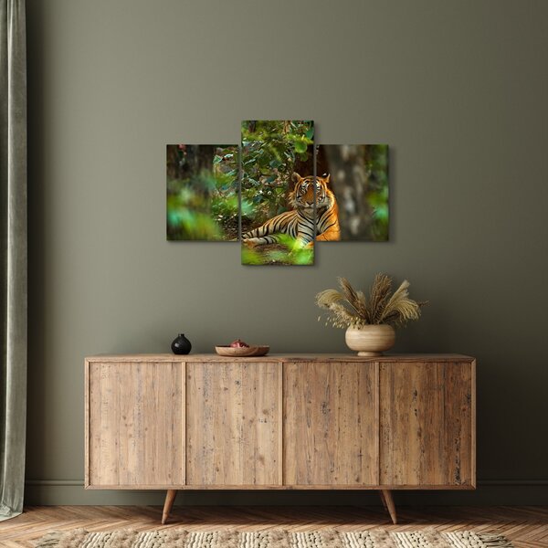 Slika počivajočega tigra (90x60 cm)