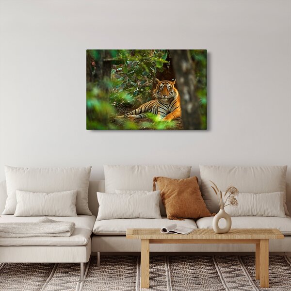Slika počivajočega tigra (90x60 cm)