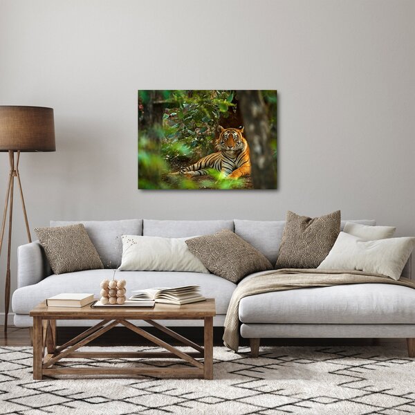 Slika počivajočega tigra (70x50 cm)