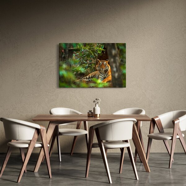 Slika počivajočega tigra (90x60 cm)