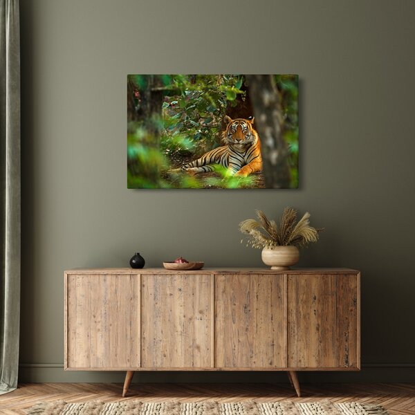 Slika počivajočega tigra (90x60 cm)