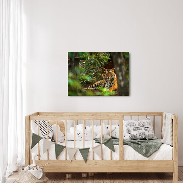 Slika počivajočega tigra (70x50 cm)