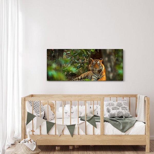 Slika počivajočega tigra (120x50 cm)