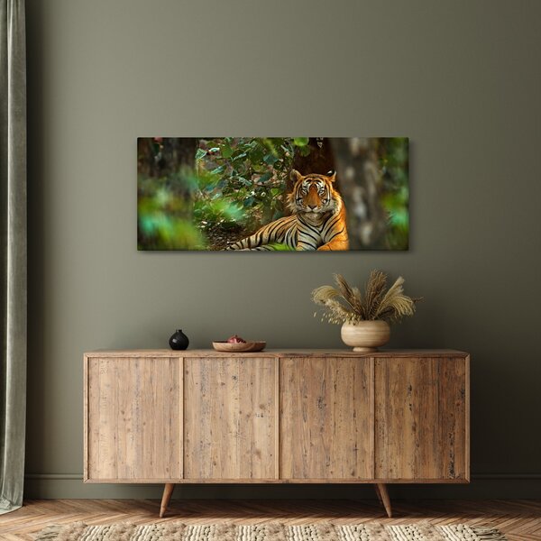 Slika počivajočega tigra (120x50 cm)