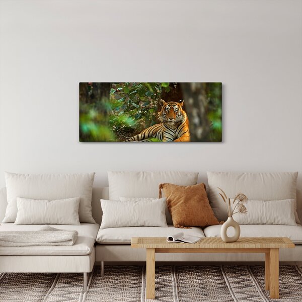Slika počivajočega tigra (120x50 cm)