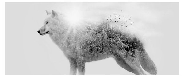Slika - Arktični volk zrcali divjo pokrajino, črno-belo (120x50 cm)
