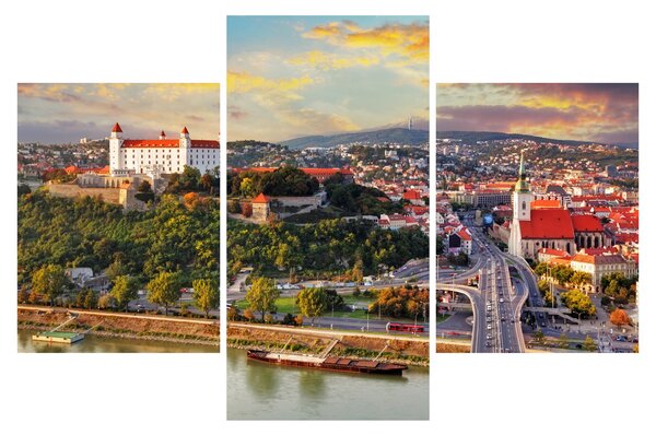 Slika - Panorama Bratislave, Slovaška (90x60 cm)