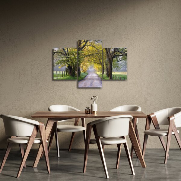 Slika - Smoky Mountains, Gatlinburg, ZDA (90x60 cm)