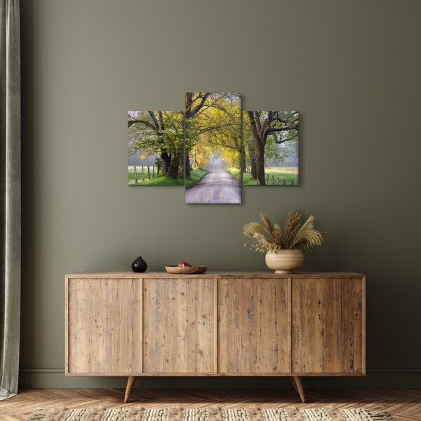 Slika - Smoky Mountains, Gatlinburg, ZDA (90x60 cm)