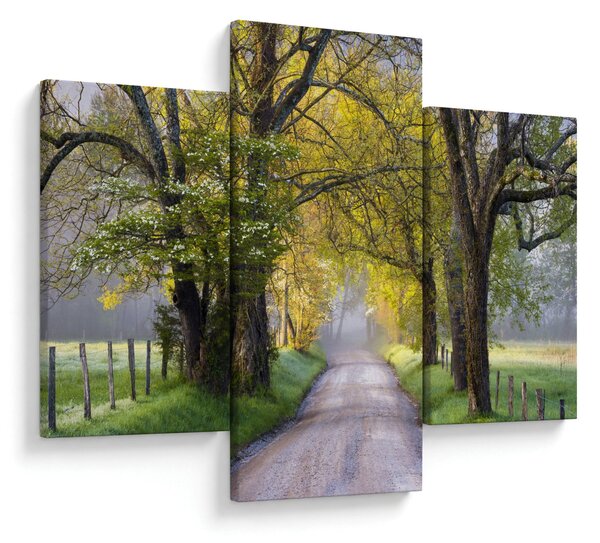 Slika - Smoky Mountains, Gatlinburg, ZDA (90x60 cm)