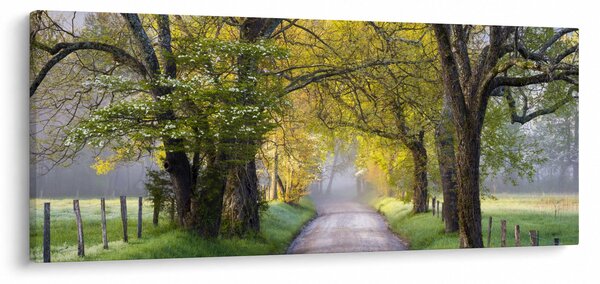 Slika - Smoky Mountains, Gatlinburg, ZDA (120x50 cm)