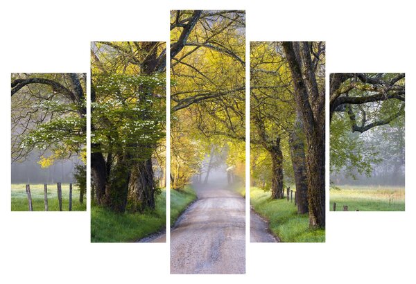 Slika - Smoky Mountains, Gatlinburg, ZDA (150x105 cm)