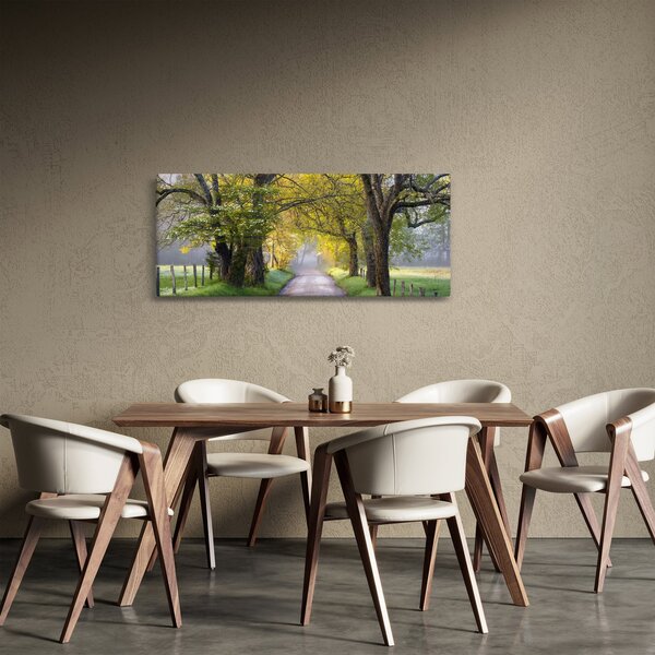 Slika - Smoky Mountains, Gatlinburg, ZDA (120x50 cm)