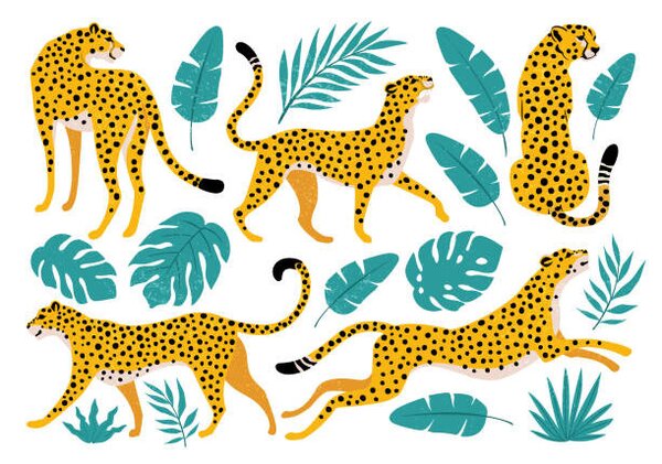 Fotografija Vector set of leopards and tropical, Angelina Bambina