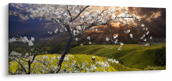 Slika - Cvetoče drevo v pokrajini (120x50 cm)