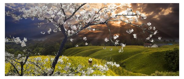 Slika - Cvetoče drevo v pokrajini (120x50 cm)