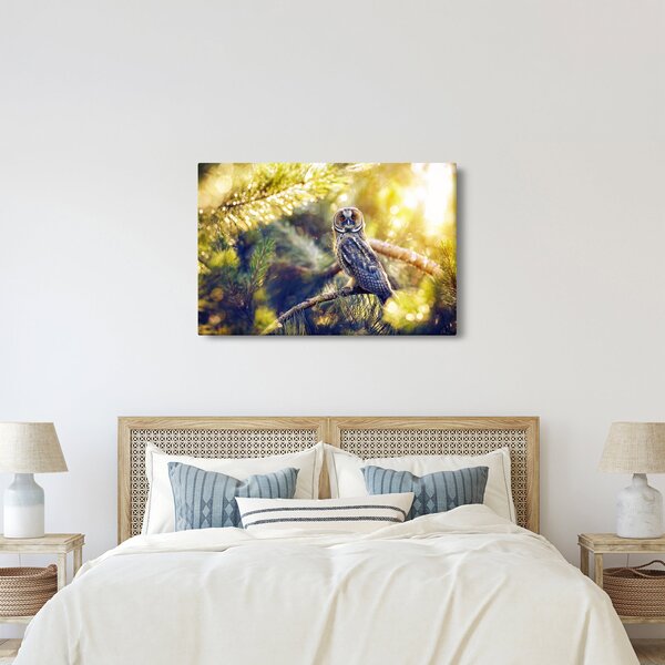 Slika sove na drevesu (90x60 cm)