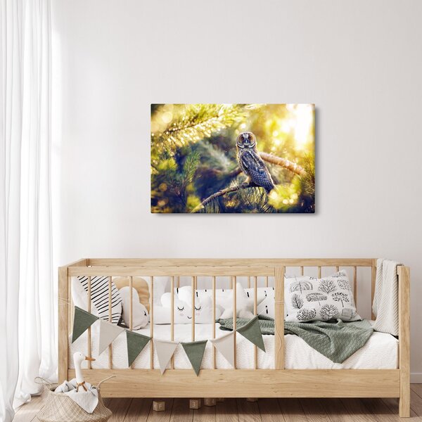 Slika sove na drevesu (90x60 cm)