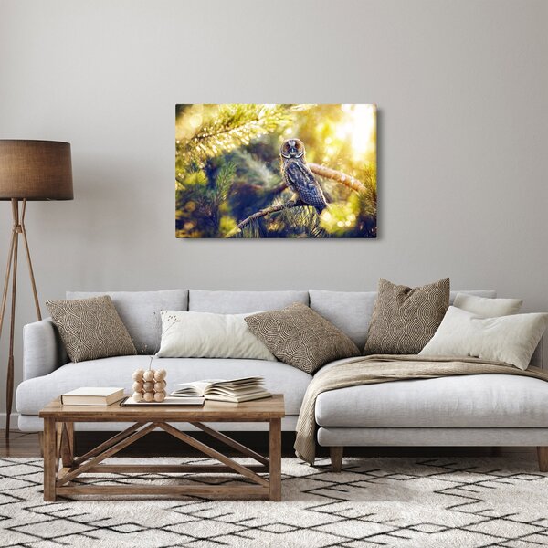 Slika sove na drevesu (90x60 cm)