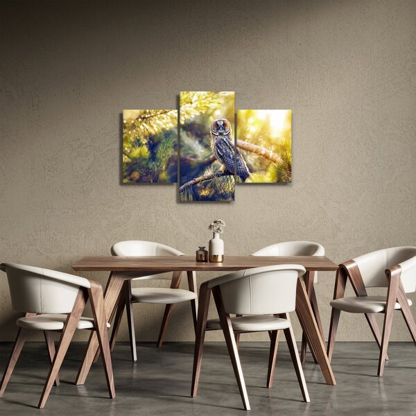Slika sove na drevesu (90x60 cm)