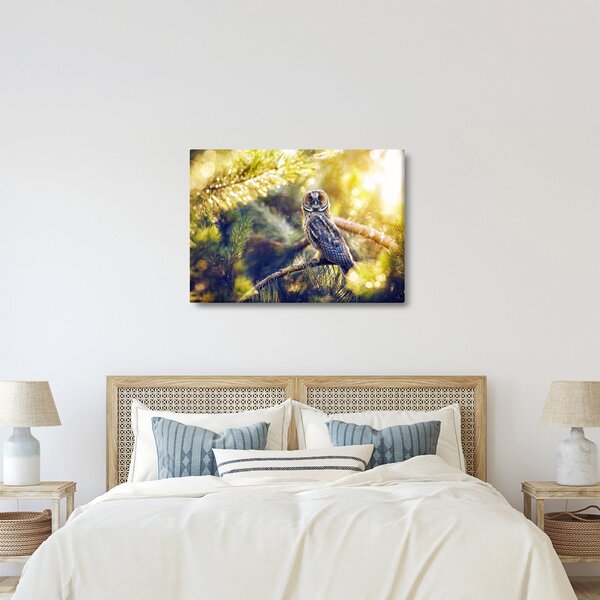 Slika sove na drevesu (70x50 cm)
