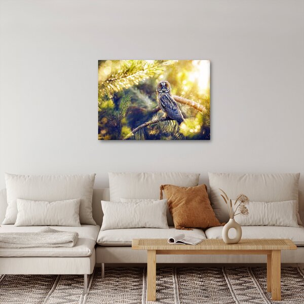 Slika sove na drevesu (70x50 cm)