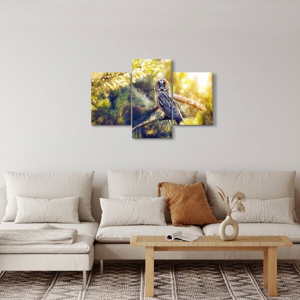 Slika sove na drevesu (90x60 cm)