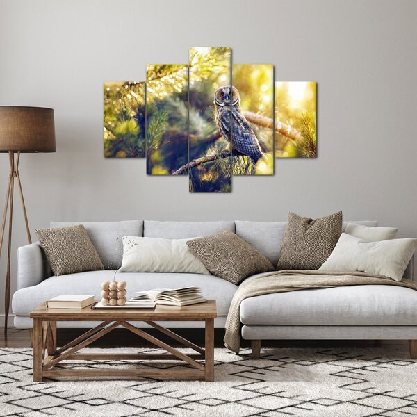 Slika sove na drevesu (150x105 cm)