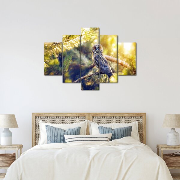 Slika sove na drevesu (150x105 cm)