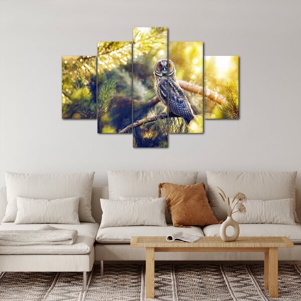 Slika sove na drevesu (150x105 cm)