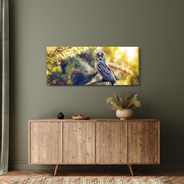 Slika sove na drevesu (120x50 cm)