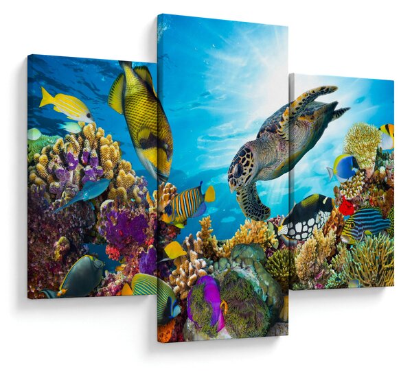 Slika koralnega grebena (90x60 cm)