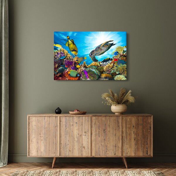 Slika koralnega grebena (90x60 cm)