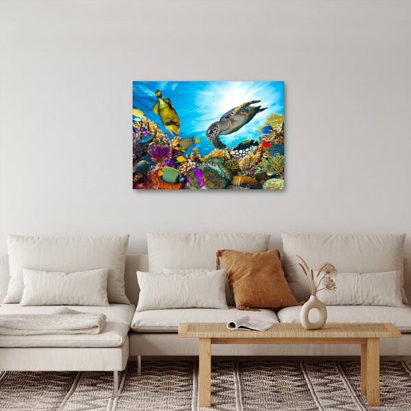 Slika koralnega grebena (70x50 cm)