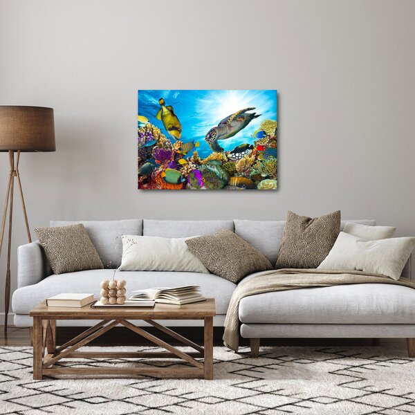 Slika koralnega grebena (70x50 cm)