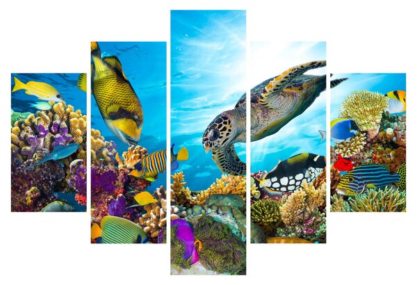 Slika koralnega grebena (150x105 cm)