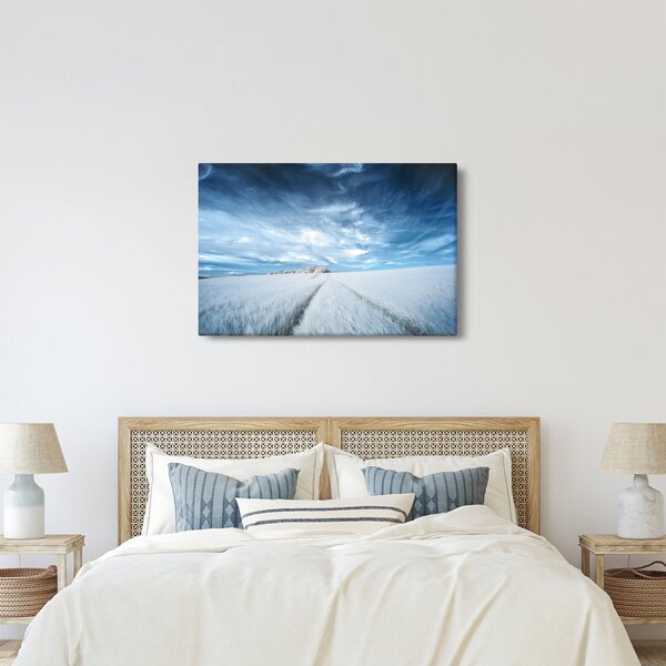 Slika polja (90x60 cm)