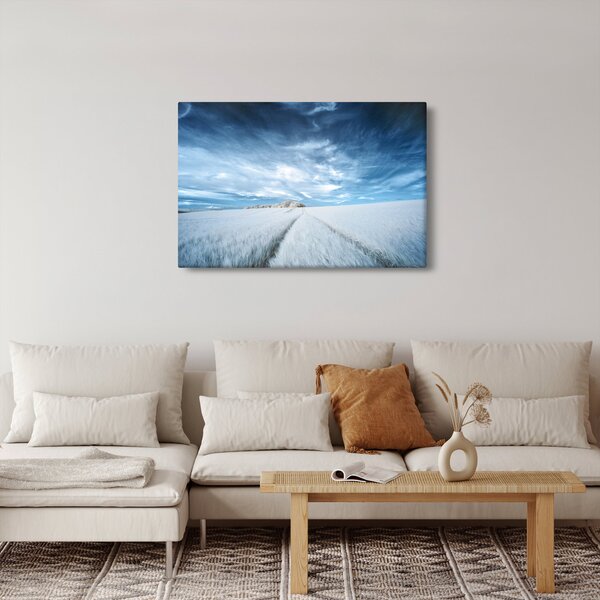Slika polja (90x60 cm)