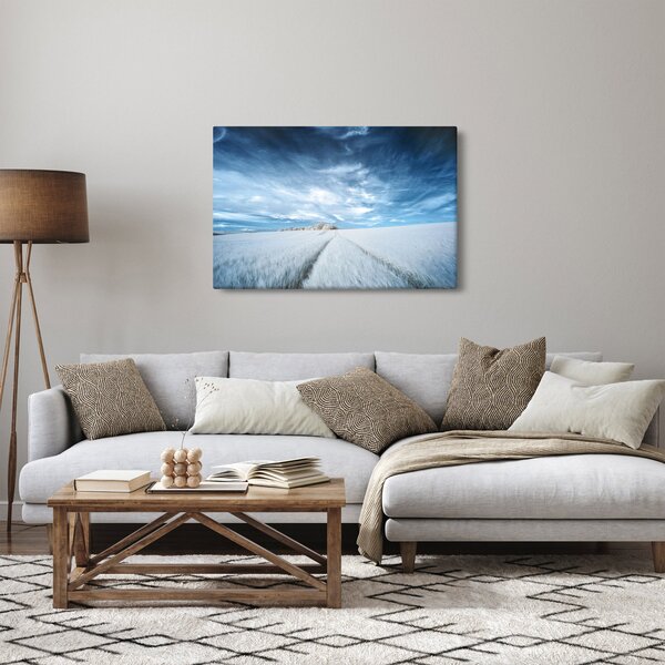 Slika polja (90x60 cm)