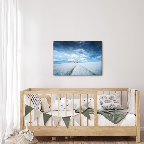Slika polja (70x50 cm)